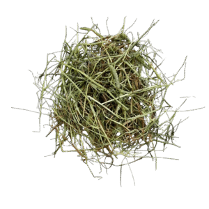 Timothy Hay Box